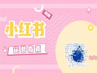 小红书运营指南，没有套路，全是经验-昀创网