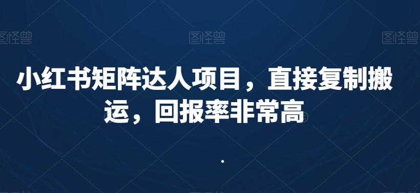 小红书矩阵达人项目，直接复制搬运，回报率非常高-昀创网