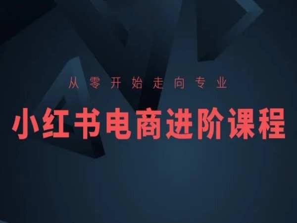 从零开始走向专业，小红书电商进阶课程-昀创网