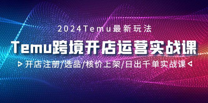 2024Temu跨境开店运营实战课，开店注册/选品/核价上架/日出千单实战课-昀创网