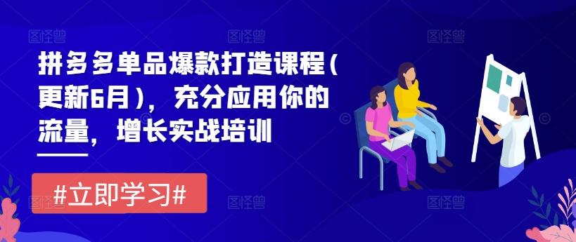 拼多多单品爆款打造课程(更新6月)，充分应用你的流量，增长实战培训-昀创网