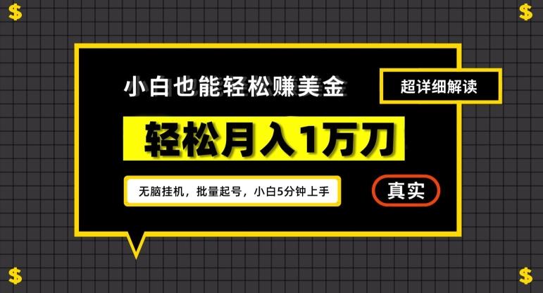 谷歌看广告撸美金2.0，无脑挂机，多号操作，月入1万刀【揭秘】-昀创网