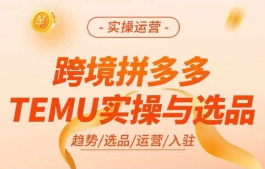 跨境拼多多TEMU实操与选品，多多temu跨境选品运营实操-昀创网