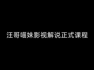 汪哥影视解说正式课程：剪映/PR教学/视解说剪辑5大黄金法则/全流程剪辑7把利器等等-昀创网