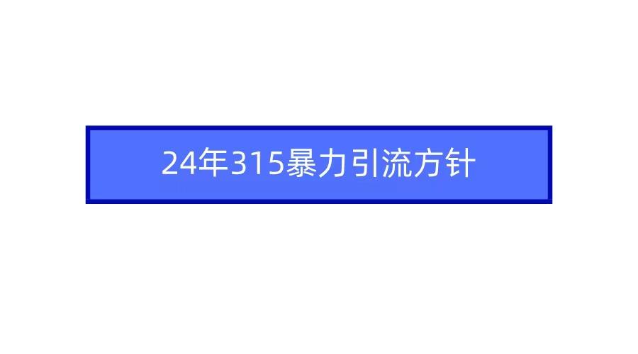 (9398期)2024年315暴力引流方针-昀创网