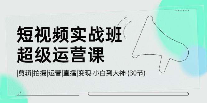 短视频实战班超级运营课 |剪辑|拍摄|运营|直播|变现 小白到大神 (30节)-昀创网