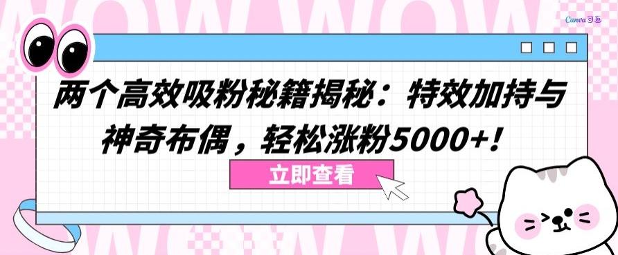 两个高效吸粉秘籍揭秘：特效加持与神奇布偶，轻松涨粉5000+【揭秘】-昀创网