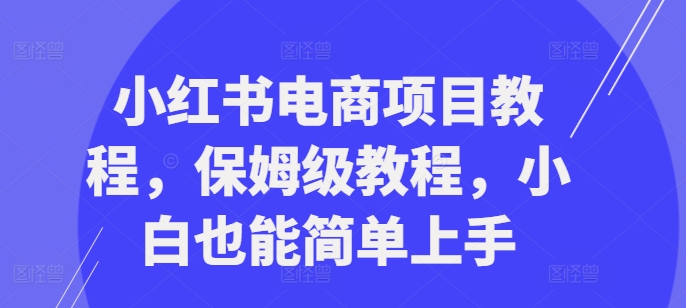 小红书电商项目教程，保姆级教程，小白也能简单上手-昀创网