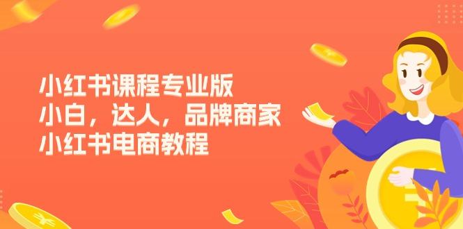 小红书课程专业版，小白，达人，品牌商家，小红书电商教程(15节-昀创网