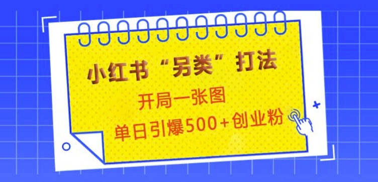 小红书“另类”打法，开局一张图，单日引爆500+精准创业粉【揭秘】-昀创网