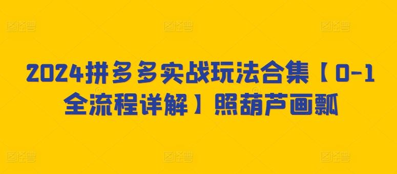 2024拼多多实战玩法合集【0-1全流程详解】照葫芦画瓢-昀创网