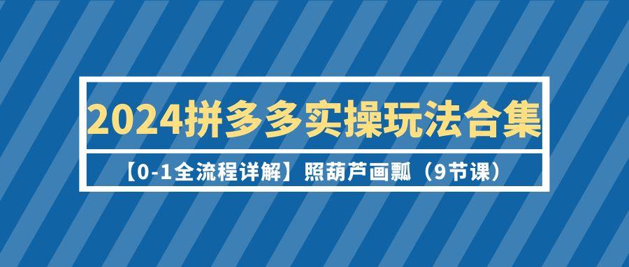 (9559期)2024拼多多实操玩法合集【0-1全流程详解】照葫芦画瓢(9节课)-昀创网