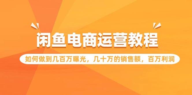 (9560期)闲鱼电商运营教程：如何做到几百万曝光，几十万的销售额，百万利润-昀创网