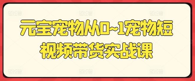 元宝宠物从0~1宠物短视频带货实战课-昀创网