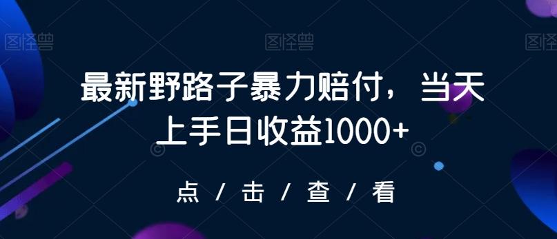 最新野路子暴力赔付，当天上手日收益1000+【仅揭秘】-昀创网