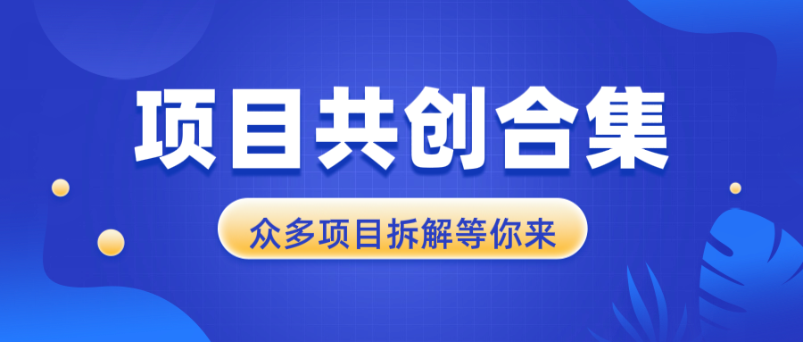 项目共创合集，从0-1全过程拆解，让你迅速找到适合自已的项目-昀创网