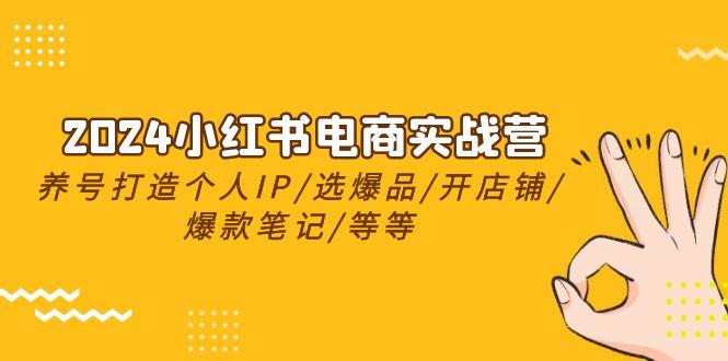 2024小红书电商实战营，养号打造IP/选爆品/开店铺/爆款笔记/等等(24节)-昀创网