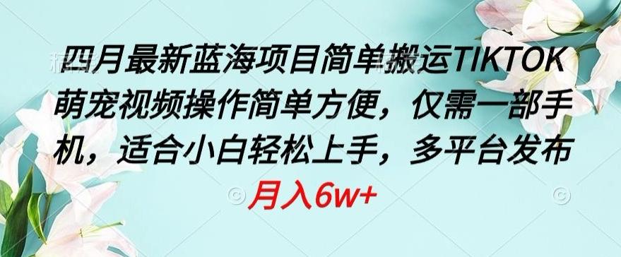 四月最新蓝海项目，简单搬运TIKTOK萌宠视频，操作简单方便，仅需一部手机【揭秘】-昀创网