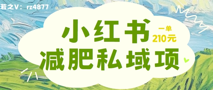 小红书减肥粉，私域变现项目，一单就达210元，小白也能轻松上手【揭秘】-昀创网