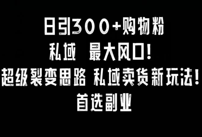 日引300+购物粉，超级裂变思路，私域卖货新玩法，小红书首选副业【揭秘】-昀创网