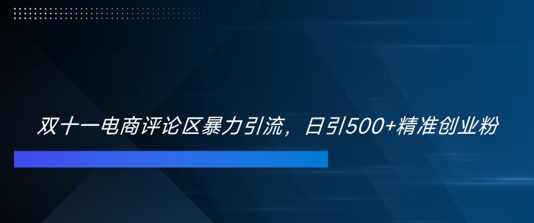 双十一电商评论区暴力引流，日引500+精准创业粉【揭秘】-昀创网