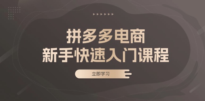 拼多多电商新手快速入门课程：涵盖基础、实战与选款，助力小白轻松上手-昀创网