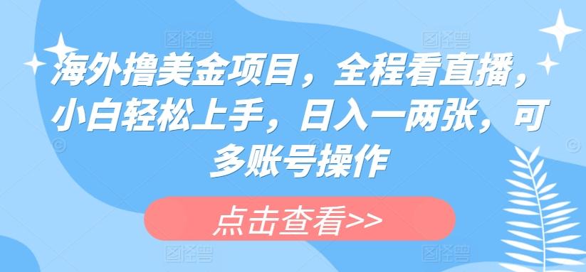 海外撸美金项目，全程看直播，小白轻松上手，日入一两张，可多账号操作【揭秘】-昀创网