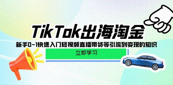 (10035期)TikTok-出海淘金，新手0-1快速入门短视频直播带货等引流到变现的知识-昀创网