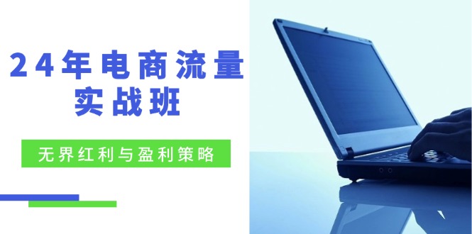 24年电商流量实战班：无界 红利与盈利策略，终极提升/关键词优化/精准…-昀创网