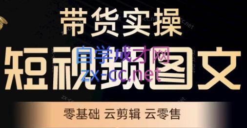 鑫哥·2024零基础短视频带货实操营-昀创网